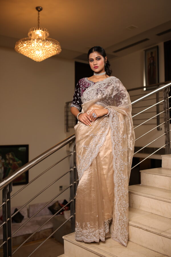 Luxurious Tissue Saree with Velvet Blouse - Image 2