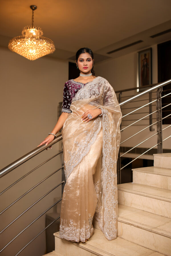 Luxurious Tissue Saree with Velvet Blouse