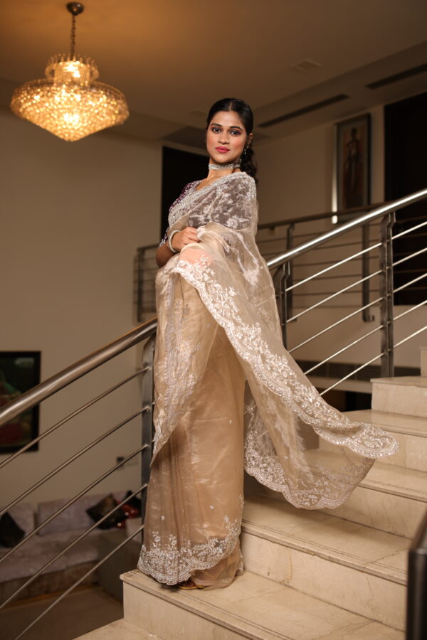 Luxurious Tissue Saree with Velvet Blouse - Image 4