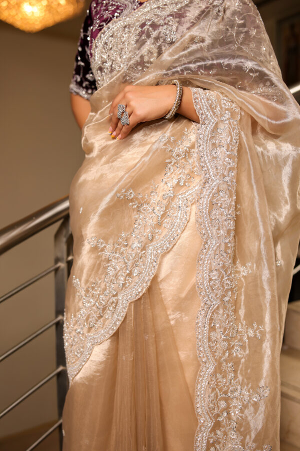 Luxurious Tissue Saree with Velvet Blouse - Image 5