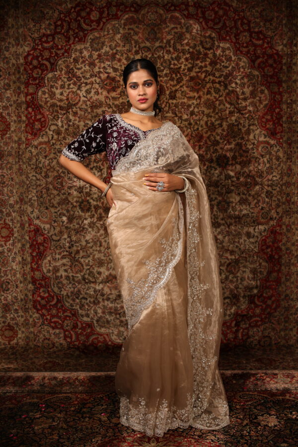 Luxurious Tissue Saree with Velvet Blouse - Image 6