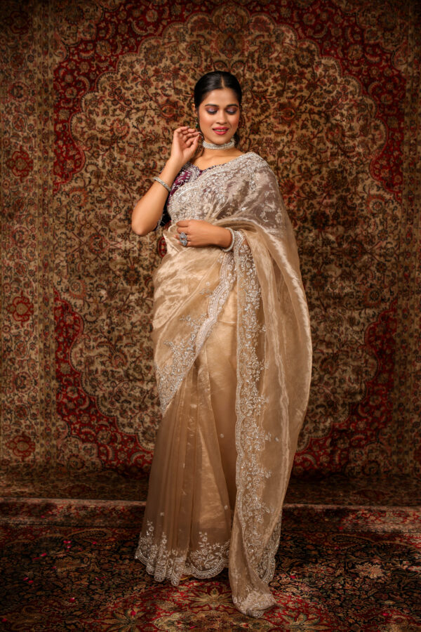 Luxurious Tissue Saree with Velvet Blouse - Image 7