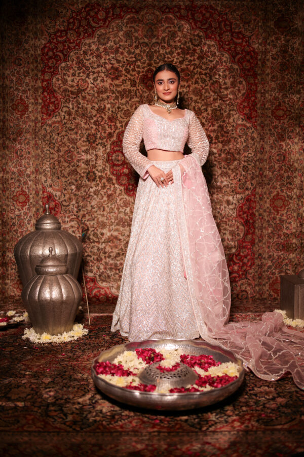 Ethereal Silver & Pink Net Lehenga