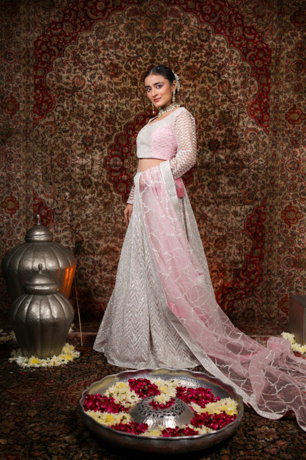 Ethereal Silver & Pink Net Lehenga - Image 3