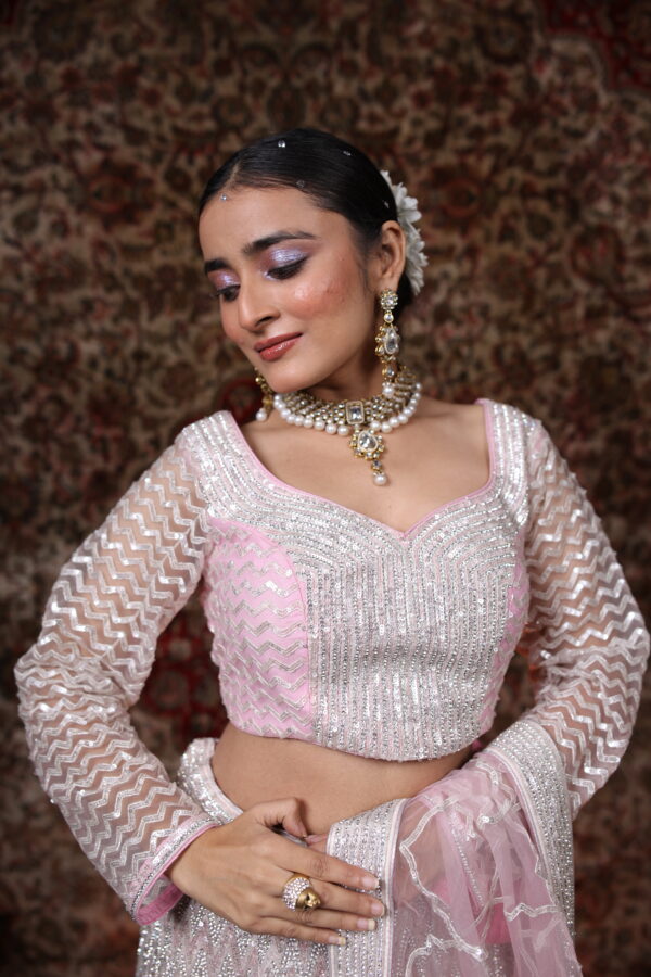 Ethereal Silver & Pink Net Lehenga - Image 6